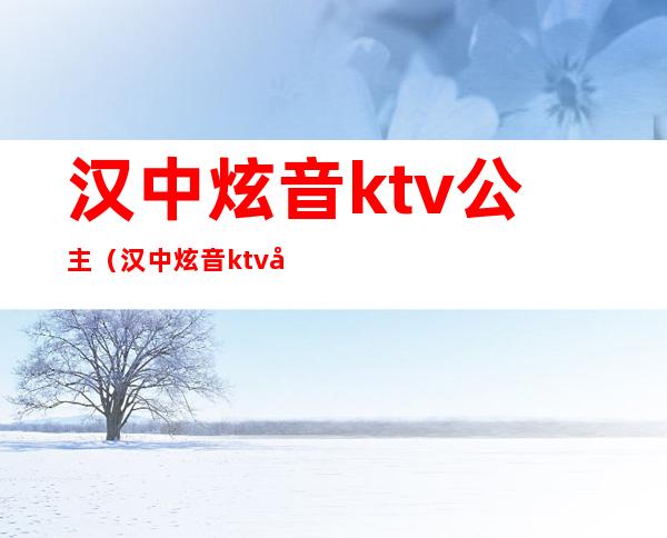 汉中炫音ktv公主(汉中炫音ktv公主多少钱)