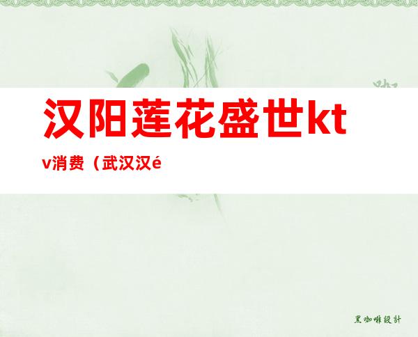 汉阳莲花盛世ktv消费(武汉汉阳所有KTV)