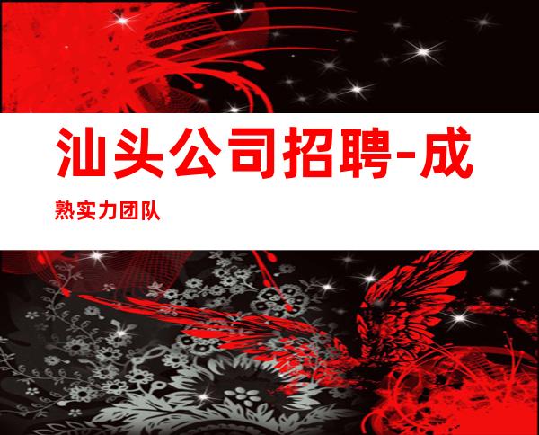 汕头公司招聘-成熟实力团队