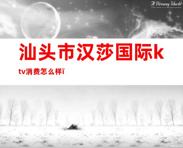 汕头市汉莎国际ktv消费怎么样()