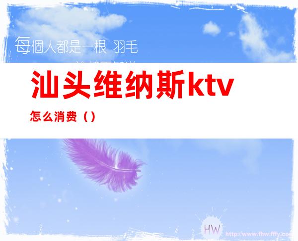汕头维纳斯ktv怎么消费()