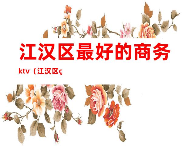 江汉区最好的商务ktv(江汉区的商场哪个比较好)