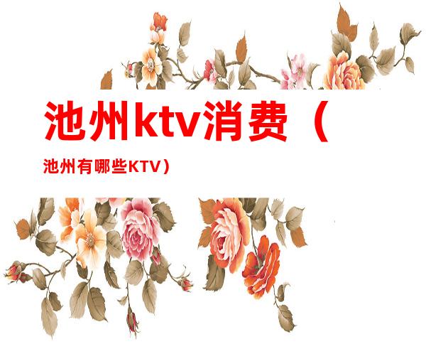 池州ktv消费(池州有哪些KTV)