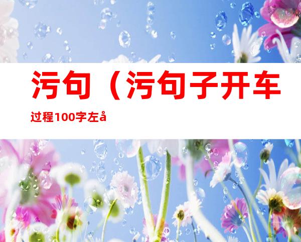 污句(污句子开车过程100字左右)