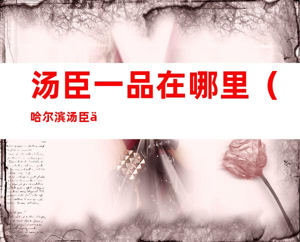 汤臣一品在哪里(哈尔滨汤臣一品在哪里)