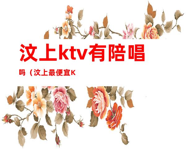 汶上ktv有陪唱吗(汶上最便宜KTV)