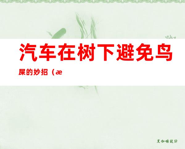 汽车在树下避免鸟屎的妙招(汽车在树下避免鸟屎的妙招是什么)