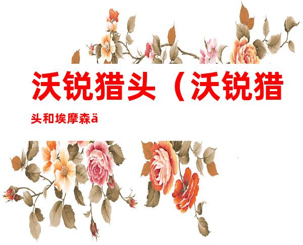 沃锐猎头(沃锐猎头和埃摩森什么关系)