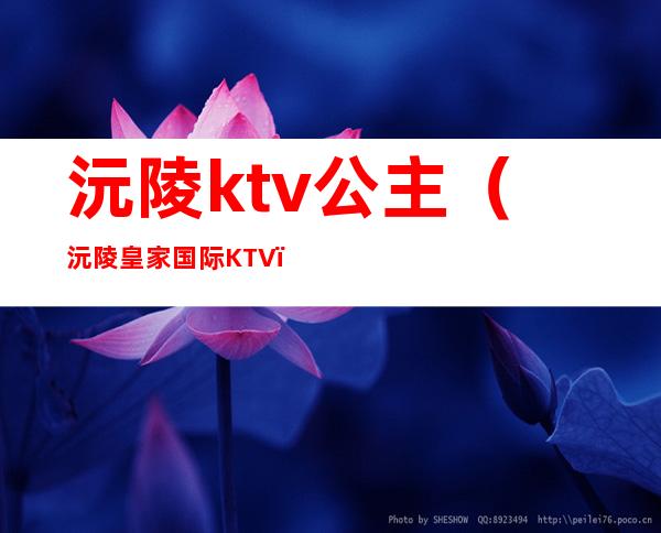 沅陵ktv公主(沅陵皇家国际KTV)