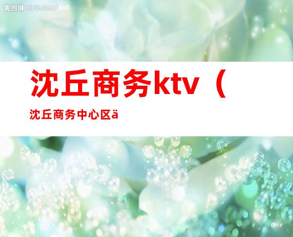 沈丘商务ktv(沈丘商务中心区主任鹿峰)