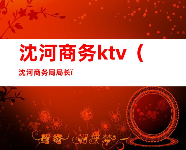 沈河商务ktv(沈河商务局局长)