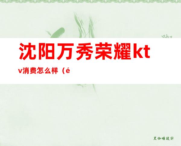 沈阳万秀荣耀ktv消费怎么样(铁西万秀荣耀KTV 好吗)