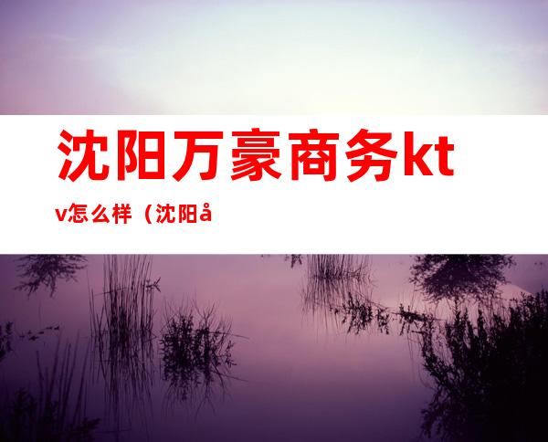 沈阳万豪商务ktv怎么样(沈阳哪个商务ktv玩的好)
