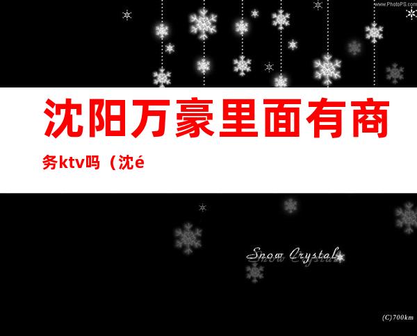 沈阳万豪里面有商务ktv吗(沈阳高档商务ktv)