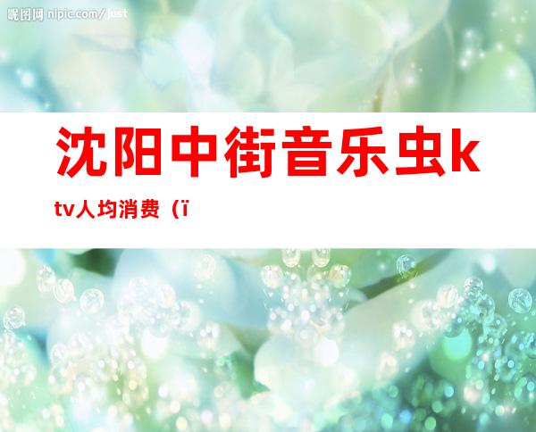 沈阳中街音乐虫ktv人均消费()