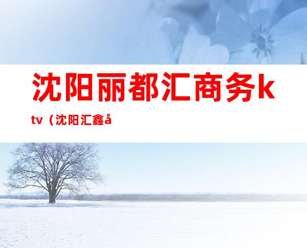 沈阳丽都汇商务ktv(沈阳汇鑫商贸)