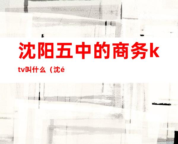 沈阳五中的商务ktv叫什么(沈阳最爱商务ktv消费)