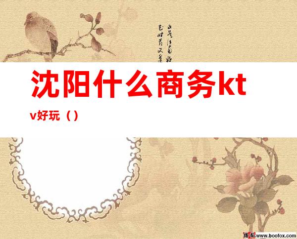 沈阳什么商务ktv好玩()