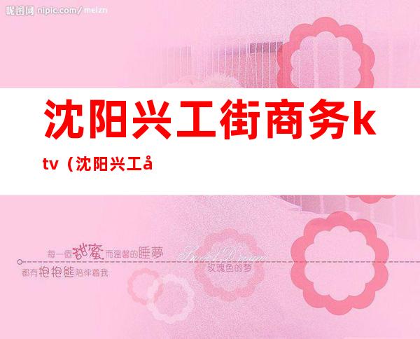 沈阳兴工街商务ktv(沈阳兴工北街)