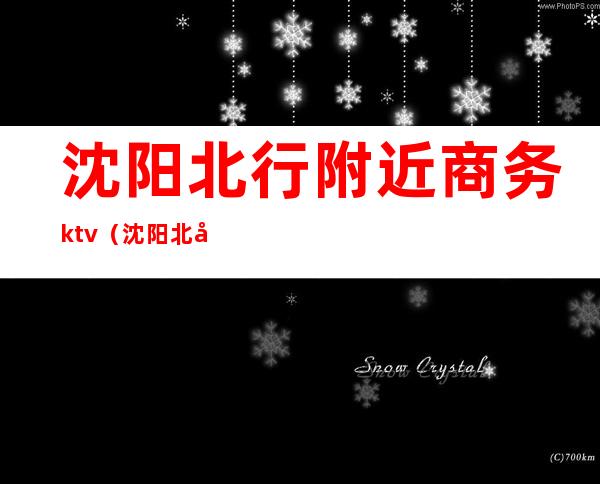 沈阳北行附近商务ktv(沈阳北市商务大厦)