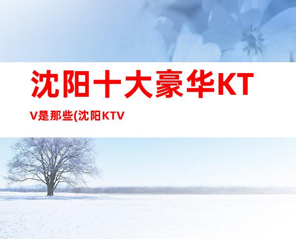 沈阳十大豪华KTV是那些(沈阳KTV排行)
