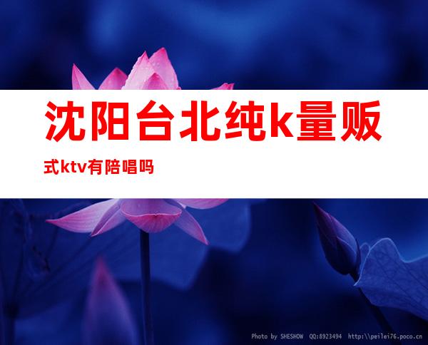 沈阳台北纯k量贩式ktv有陪唱吗(台北纯k量贩式ktv怎么样)