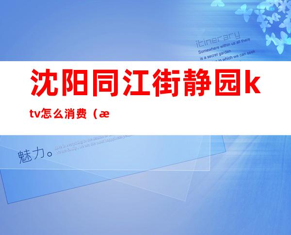 沈阳同江街静园ktv怎么消费(沈阳沈河区ktv)