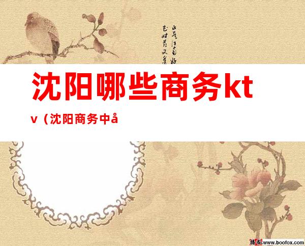 沈阳哪些商务ktv(沈阳商务中心)