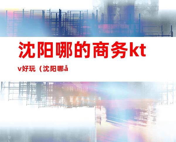 沈阳哪的商务ktv好玩(沈阳哪家商务ktv性价比高)