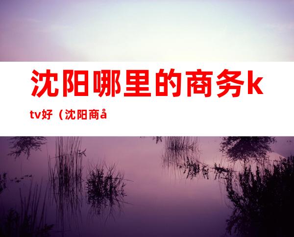 沈阳哪里的商务ktv好(沈阳商务ktv人均多少)