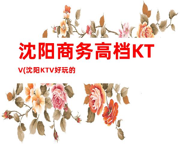 沈阳商务高档KTV(沈阳KTV好玩的)