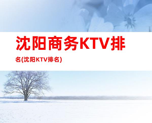 沈阳商务KTV排名(沈阳KTV排名)