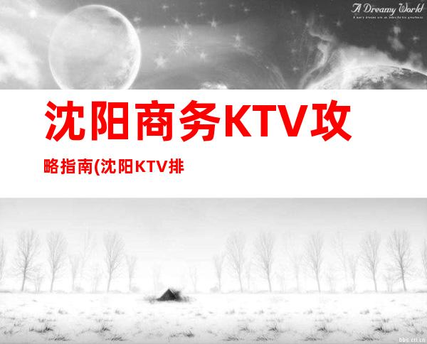 沈阳商务KTV攻略指南(沈阳KTV排行)