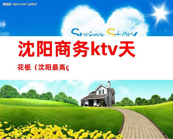 沈阳商务ktv天花板（沈阳最高端的商务ktv）