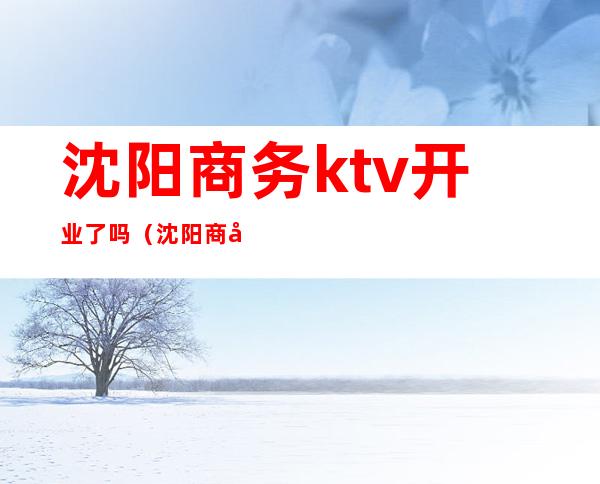 沈阳商务ktv开业了吗(沈阳商务ktv消费)