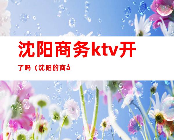 沈阳商务ktv开了吗(沈阳的商务KTV)