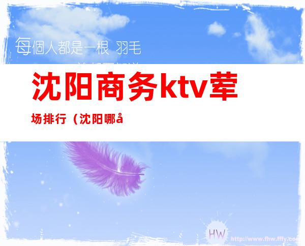 沈阳商务ktv荤场排行(沈阳哪家商务ktv性价比高)