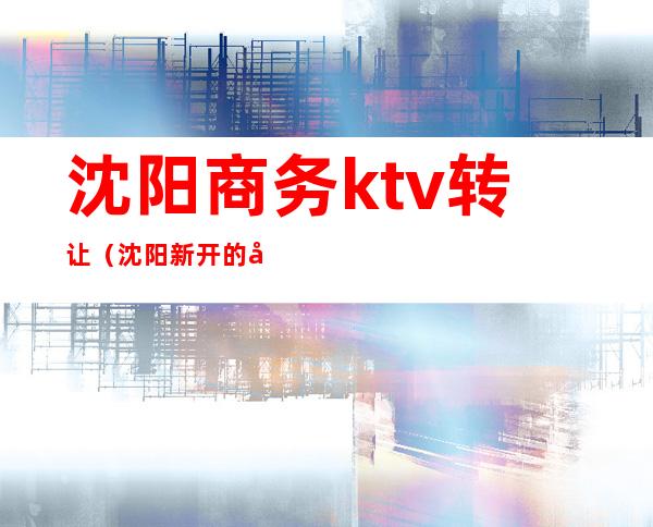 沈阳商务ktv转让(沈阳新开的商务KTV)