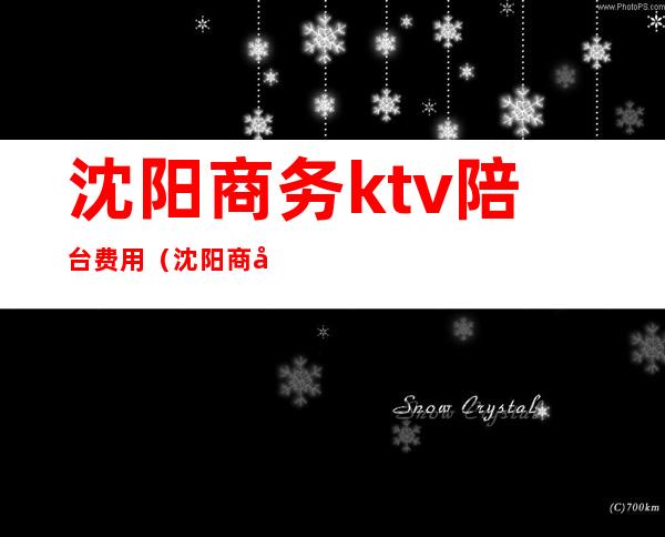 沈阳商务ktv陪台费用(沈阳商务ktv消费)