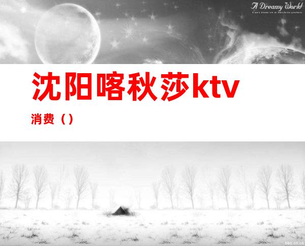 沈阳喀秋莎ktv消费（）