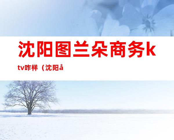沈阳图兰朵商务ktv咋样(沈阳哪家商务ktv性价比高)