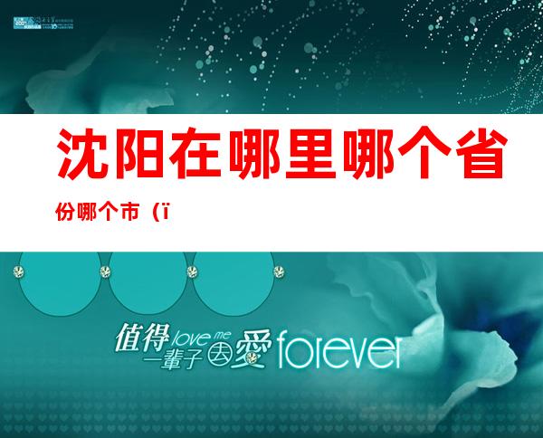 沈阳在哪里哪个省份哪个市()