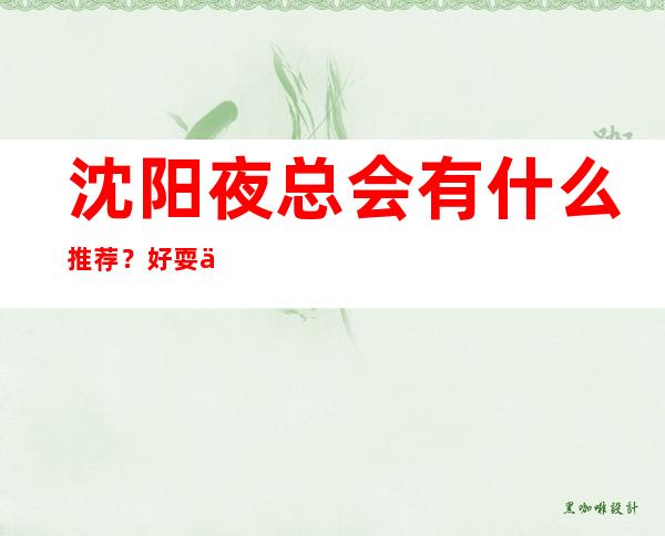 沈阳夜总会有什么推荐?好耍不贵看这篇文章