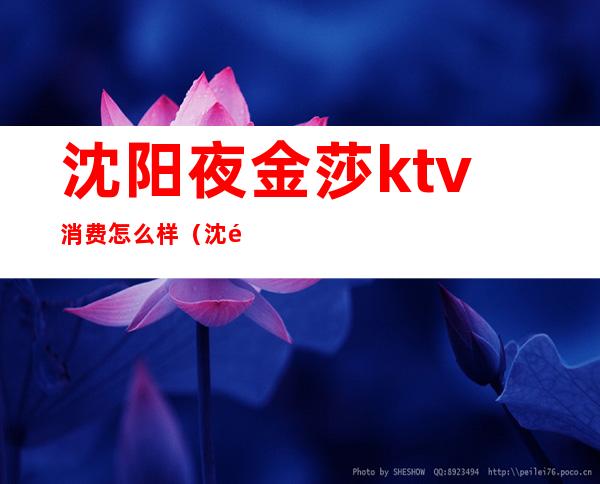 沈阳夜金莎ktv消费怎么样(沈阳夜金莎商务ktv)