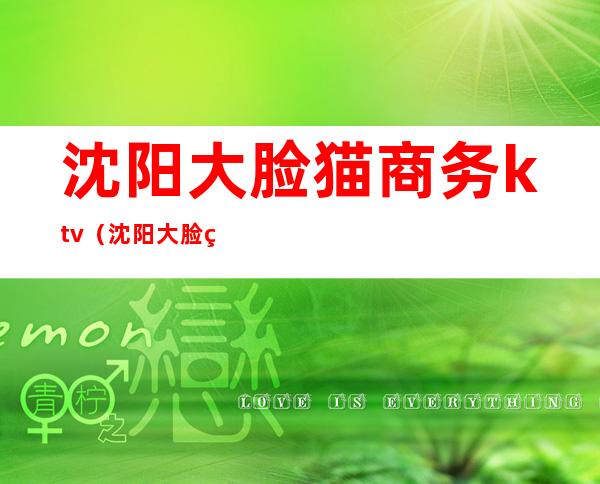 沈阳大脸猫商务ktv(沈阳大脸猫电玩)