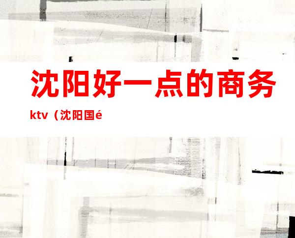 沈阳好一点的商务ktv(沈阳国际商务学校沈北的怎么样)