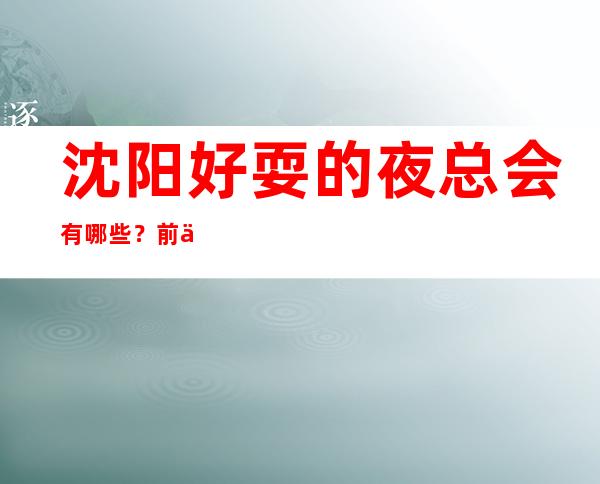 沈阳好耍的夜总会有哪些?前三家回头客超多榜上有名