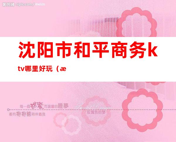 沈阳市和平商务ktv哪里好玩(沈阳最便宜的商务KTV)