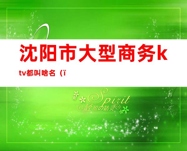 沈阳市大型商务ktv都叫啥名()