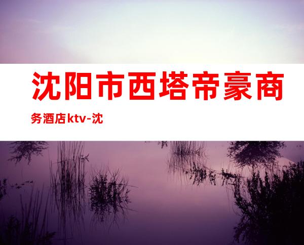 沈阳市西塔帝豪商务酒店ktv-沈阳帝豪商务酒店是正规的吗